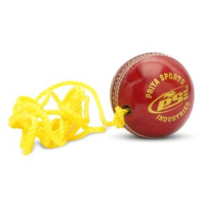 PSE Priya Sports Leather Match Practice Hanging Cricket Ball
