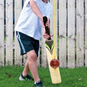 PSE Priya Sports Leather Match Practice Hanging Cricket Ball